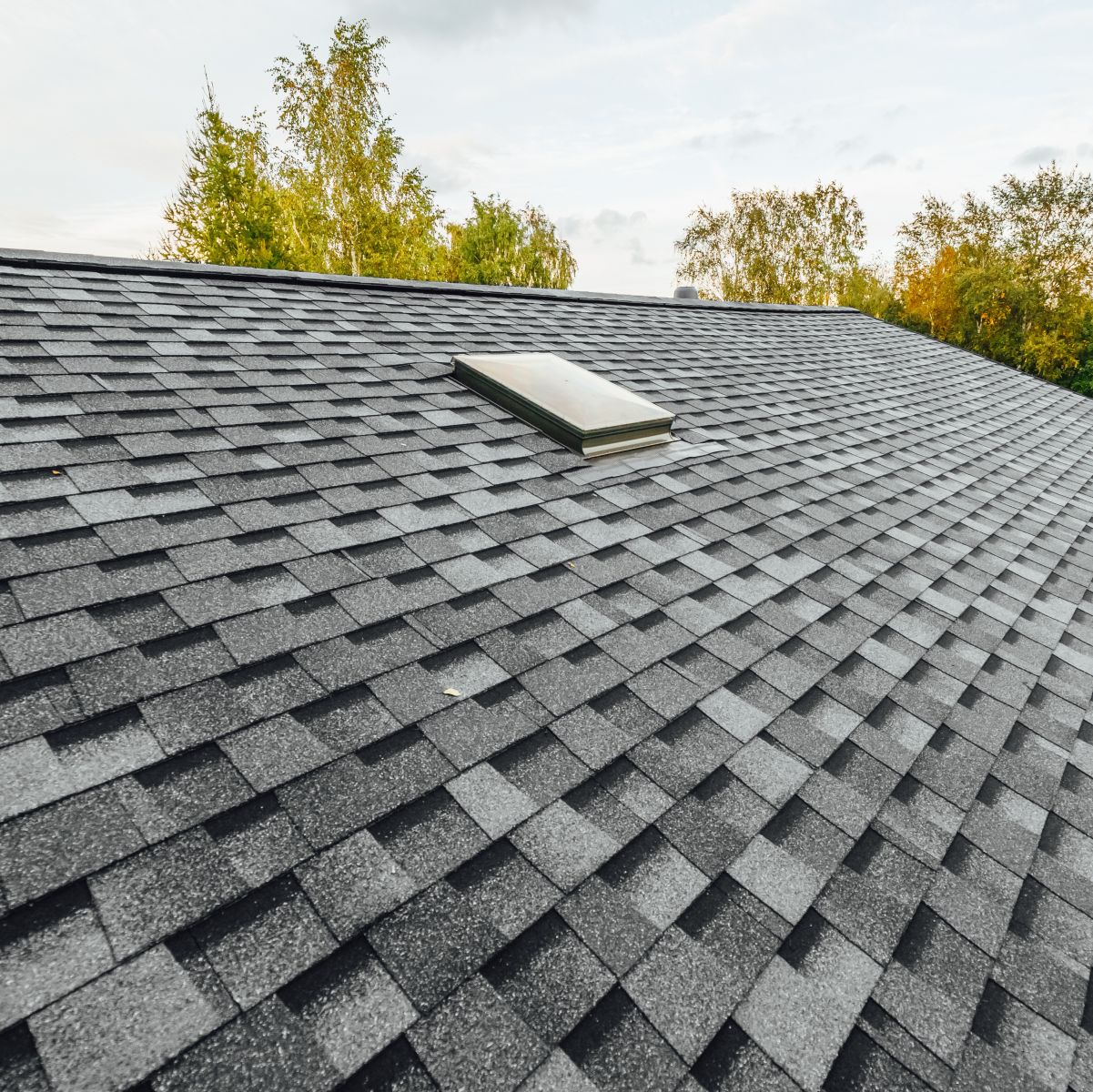 Shingles missing from roof